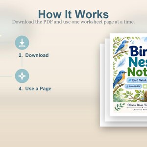 Appunti sui nidi degli uccelli / Schede didattiche sugli uccelli / PDF stampabile / Download digitale immagine 8