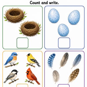 Appunti sui nidi degli uccelli / Schede didattiche sugli uccelli / PDF stampabile / Download digitale immagine 5