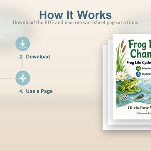 Frosch Teich Änderungen | Frosch Lebenszyklus Arbeitsblatt | Druckbare PDF | Digitaler Download Bild 8