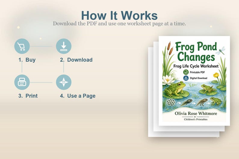Frosch Teich Änderungen | Frosch Lebenszyklus Arbeitsblatt | Druckbare PDF | Digitaler Download Bild 8