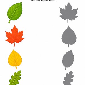 Shadow Match Studio | Shadow Matching Worksheets | Printable PDF | Digital Download image 6