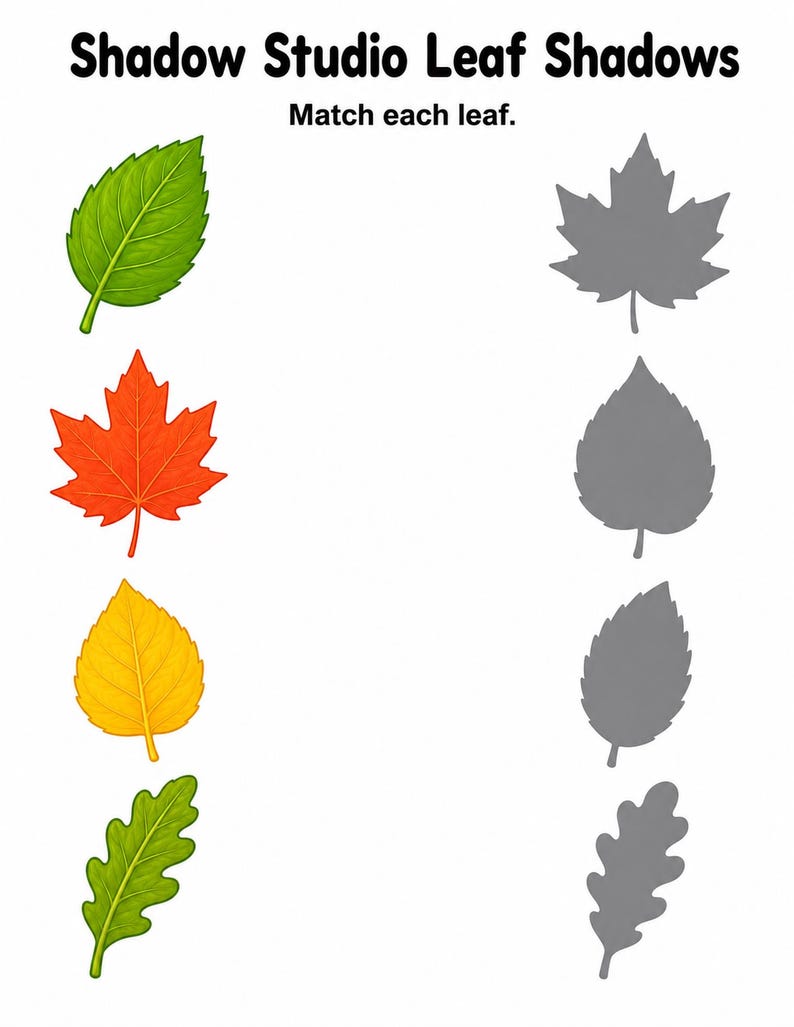 Shadow Match Studio | Shadow Matching Worksheets | Printable PDF | Digital Download image 6