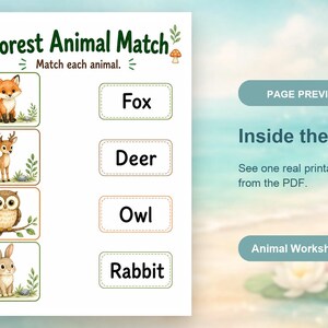 Amis des animaux de la forêt | Feuilles de travail sur les animaux | PDF imprimable | Téléchargement numérique image 10