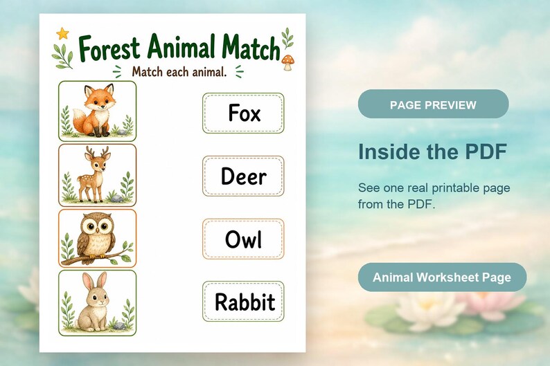 Amis des animaux de la forêt | Feuilles de travail sur les animaux | PDF imprimable | Téléchargement numérique image 10