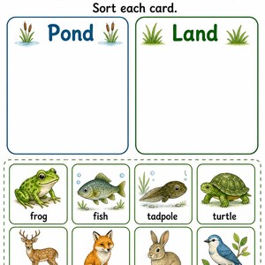 Frosch Teich Änderungen | Frosch Lebenszyklus Arbeitsblatt | Druckbare PDF | Digitaler Download Bild 6