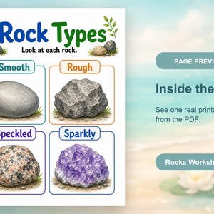 Rock Sorting Tray | Rocks and Minerals Worksheets | Printable PDF | Digital Download image 10