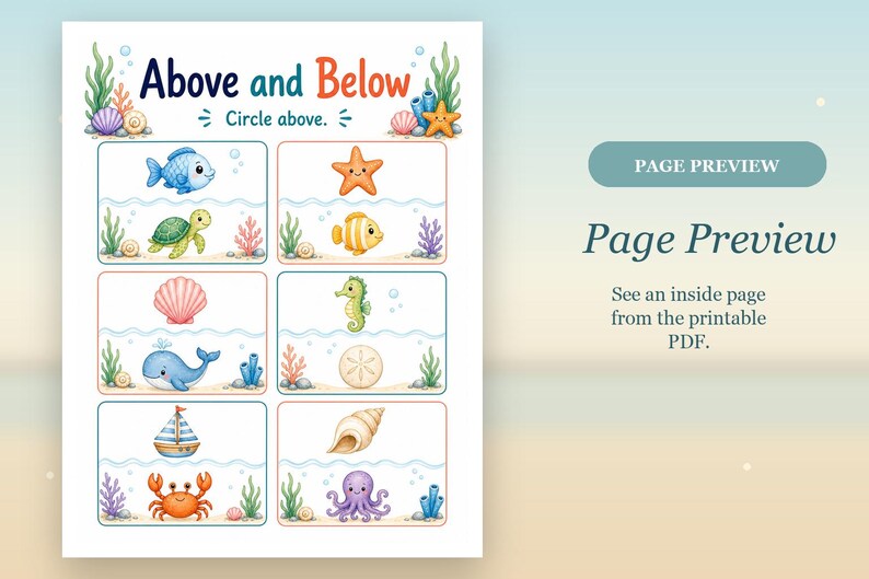 Seahorse Position Words | Position Worksheets | Printable PDF | Digital Download image 10