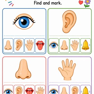Clasificación de los cinco sentidos / Hojas de trabajo de los cinco sentidos / PDF imprimible / Descarga digital imagen 5