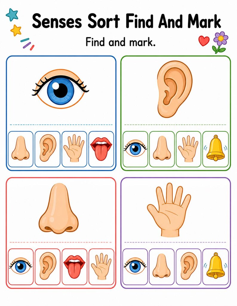 Clasificación de los cinco sentidos / Hojas de trabajo de los cinco sentidos / PDF imprimible / Descarga digital imagen 5