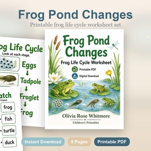 Frosch Teich Änderungen | Frosch Lebenszyklus Arbeitsblatt | Druckbare PDF | Digitaler Download Bild 2