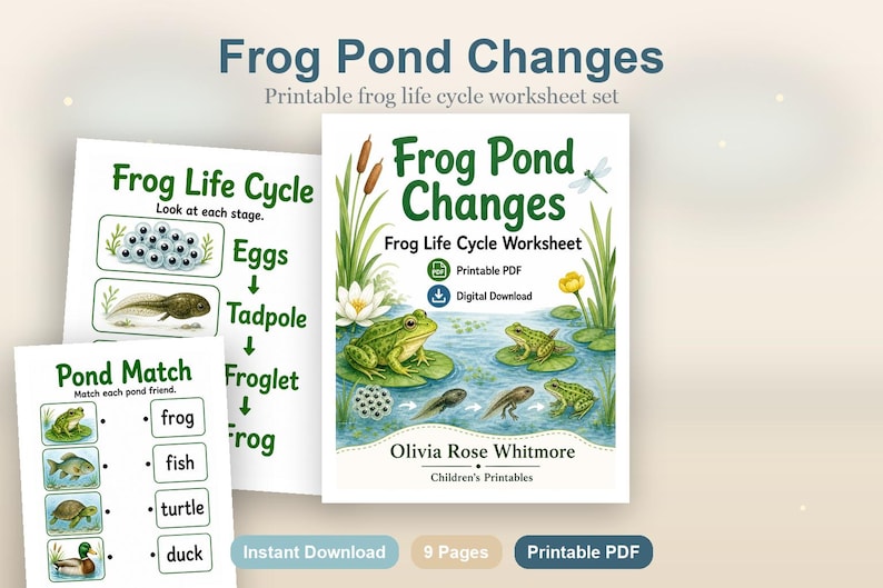 Frosch Teich Änderungen | Frosch Lebenszyklus Arbeitsblatt | Druckbare PDF | Digitaler Download Bild 2