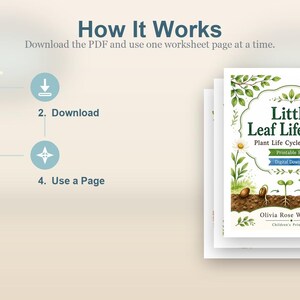 Levenscyclus van klein blad | Werkblad levenscyclus planten | Afdrukbare pdf | Digitale download afbeelding 8