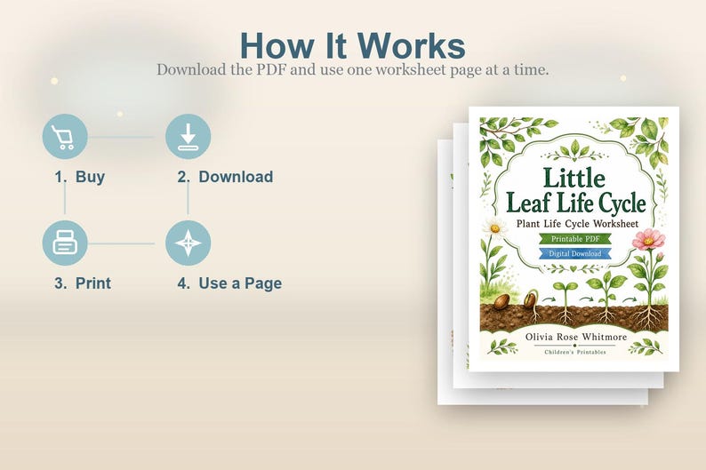 Levenscyclus van klein blad | Werkblad levenscyclus planten | Afdrukbare pdf | Digitale download afbeelding 8