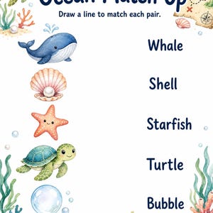 Turtle Treasure Tasks | Kids Activity Sheets | Printable PDF | Digital Download image 3