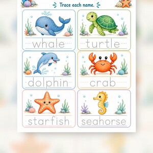 Ocean Animal Friends | Sea Animals Worksheets | Printable PDF | Digital Download image 9