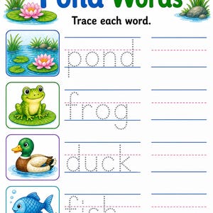 Pond Life Explorer | Pond Life Worksheets | Printable PDF | Digital Download image 6
