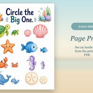 Turtle Big & Small | Big and Small Worksheets | Printable PDF | Digital Download image 10