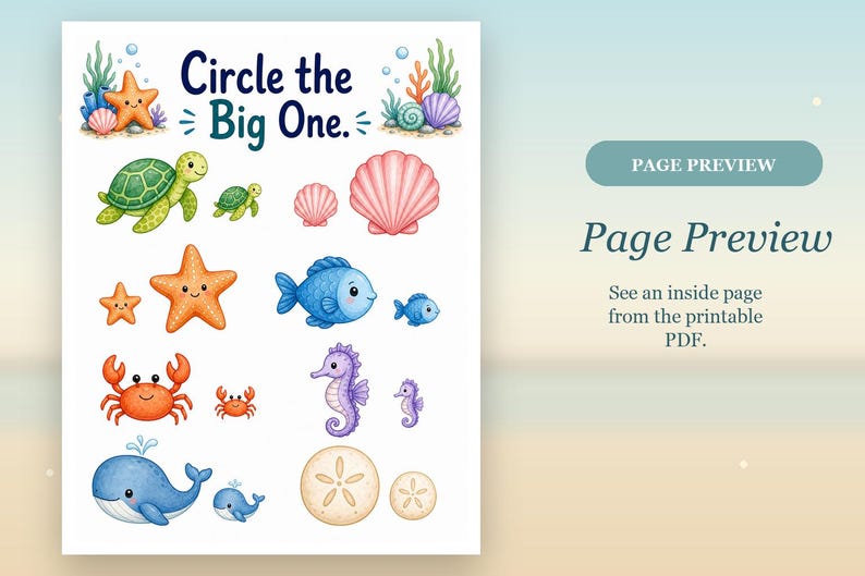 Turtle Big & Small | Big and Small Worksheets | Printable PDF | Digital Download image 10