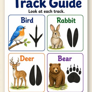 Animal Tracks Trail | Animal Tracks Worksheet | Printable PDF | Digital Download image 9