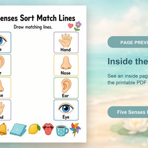 Clasificación de los cinco sentidos / Hojas de trabajo de los cinco sentidos / PDF imprimible / Descarga digital imagen 10