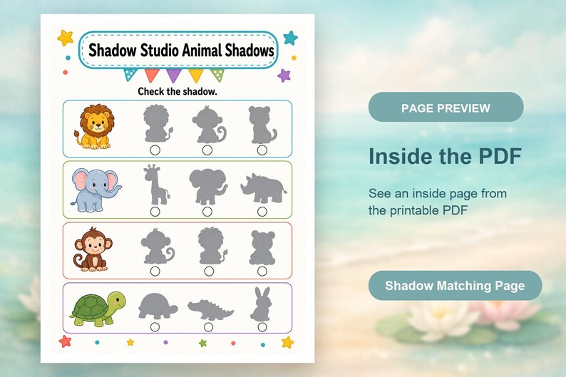 Shadow Match Studio | Shadow Matching Worksheets | Printable PDF | Digital Download image 10
