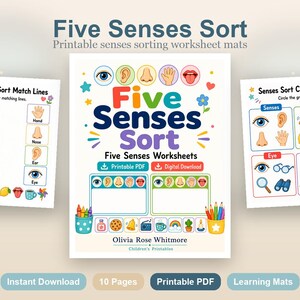 Clasificación de los cinco sentidos / Hojas de trabajo de los cinco sentidos / PDF imprimible / Descarga digital imagen 2