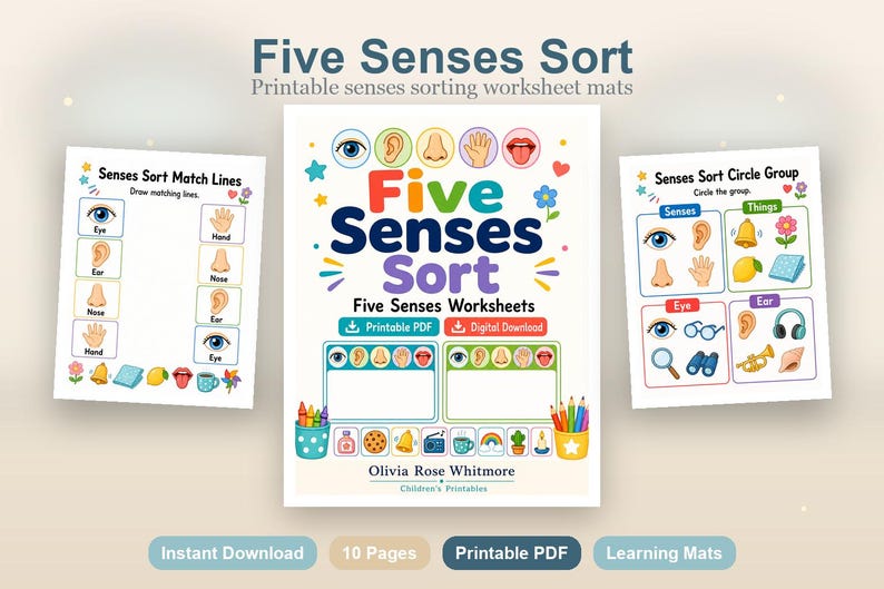 Clasificación de los cinco sentidos / Hojas de trabajo de los cinco sentidos / PDF imprimible / Descarga digital imagen 2