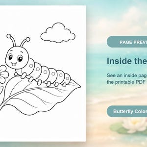 Butterfly Meadow Coloring Pages | Butterfly Coloring Pages | Printable PDF | Digital Download image 10