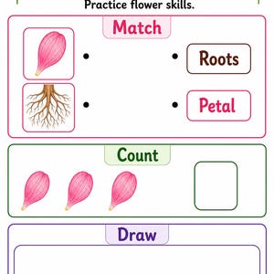 Flower Parts Garden | Parts of a Flower Worksheet | Printable PDF | Digital Download image 7