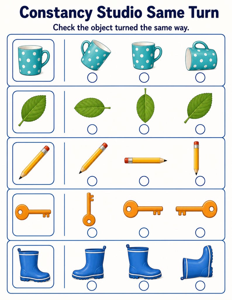 Object Constancy Studio | Object Constancy Worksheets | Printable PDF | Digital Download image 4