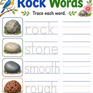 Rock Sorting Tray | Rocks and Minerals Worksheets | Printable PDF | Digital Download image 6