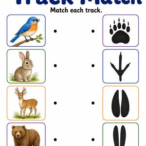Animal Tracks Trail | Animal Tracks Worksheet | Printable PDF | Digital Download image 4