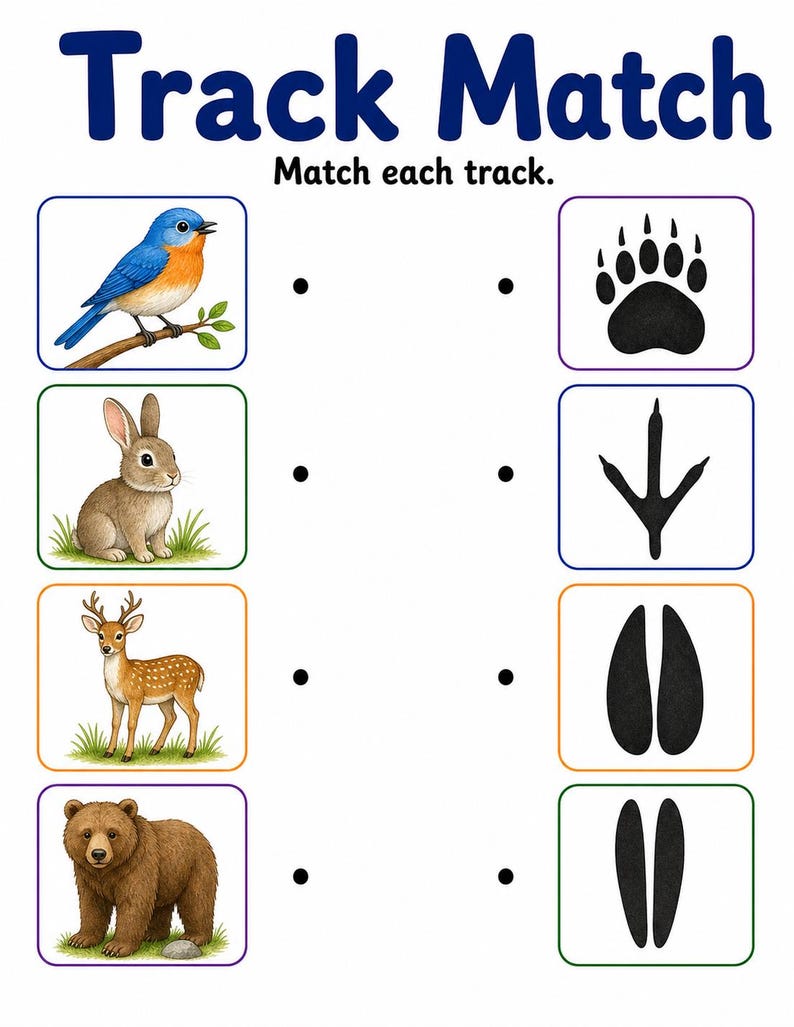 Animal Tracks Trail | Animal Tracks Worksheet | Printable PDF | Digital Download image 4