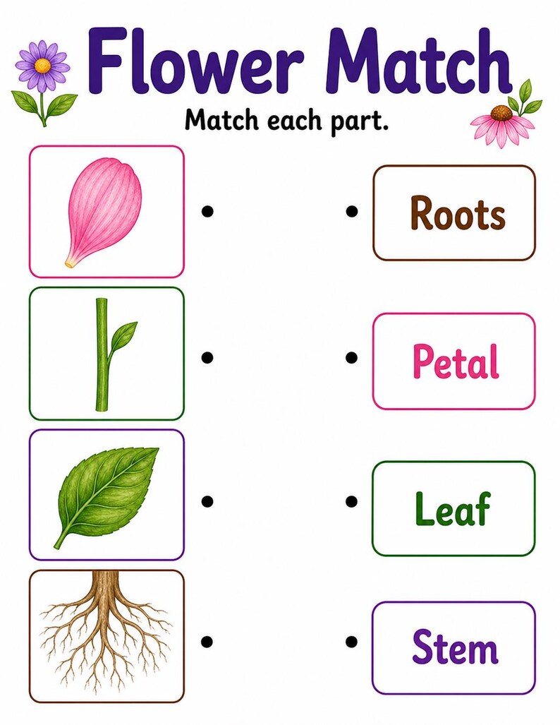 Flower Parts Garden | Parts of a Flower Worksheet | Printable PDF | Digital Download image 4