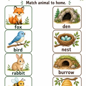 Amis des animaux de la forêt | Feuilles de travail sur les animaux | PDF imprimable | Téléchargement numérique image 4