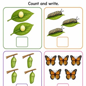 Schmetterling Gartenstufen | Schmetterling Lebenszyklus Arbeitsblatt | Druckbare PDF | Digitaler Download Bild 6