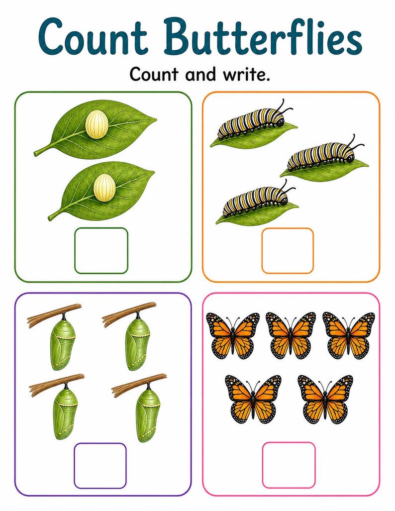 Schmetterling Gartenstufen | Schmetterling Lebenszyklus Arbeitsblatt | Druckbare PDF | Digitaler Download Bild 6