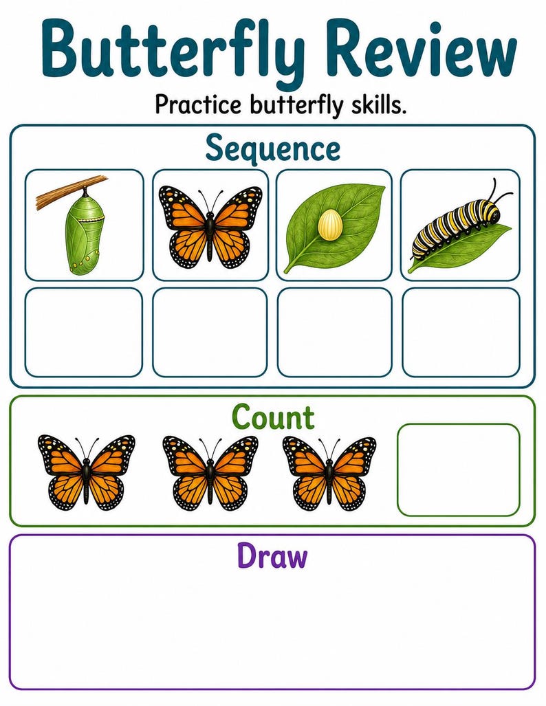 Schmetterling Gartenstufen | Schmetterling Lebenszyklus Arbeitsblatt | Druckbare PDF | Digitaler Download Bild 7