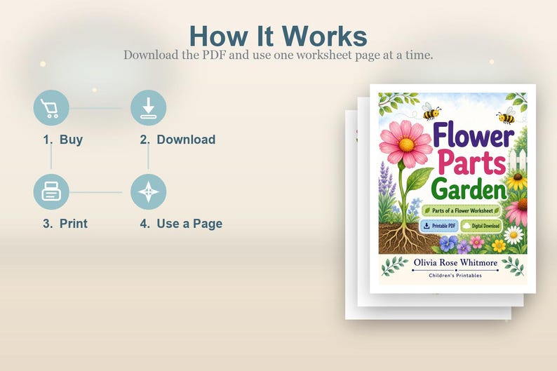Flower Parts Garden | Parts of a Flower Worksheet | Printable PDF | Digital Download image 8