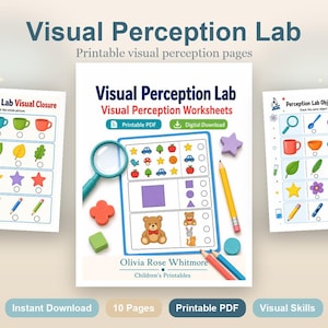 Visual Perception Lab | Visual Perception Worksheets | Printable PDF | Digital Download image 2