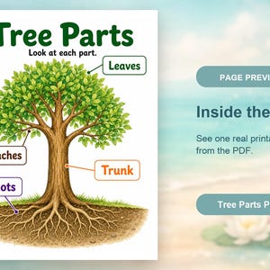 Explorateur de parties d'arbre | Feuille de travail Parties d'un arbre | PDF imprimable | Téléchargement numérique image 10