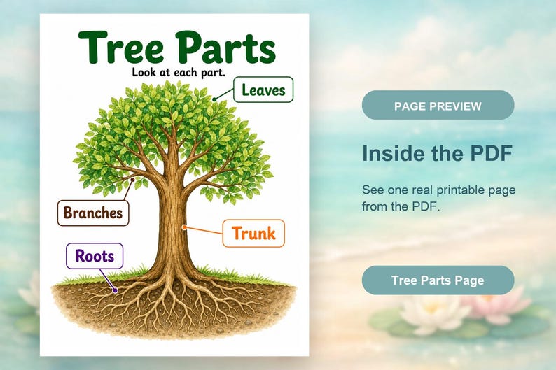 Explorateur de parties d'arbre | Feuille de travail Parties d'un arbre | PDF imprimable | Téléchargement numérique image 10