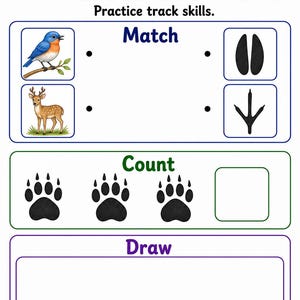 Animal Tracks Trail | Animal Tracks Worksheet | Printable PDF | Digital Download image 7