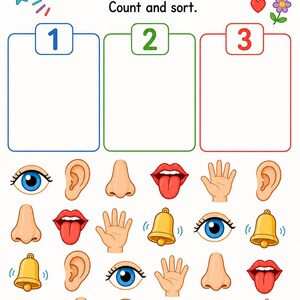 Clasificación de los cinco sentidos / Hojas de trabajo de los cinco sentidos / PDF imprimible / Descarga digital imagen 6