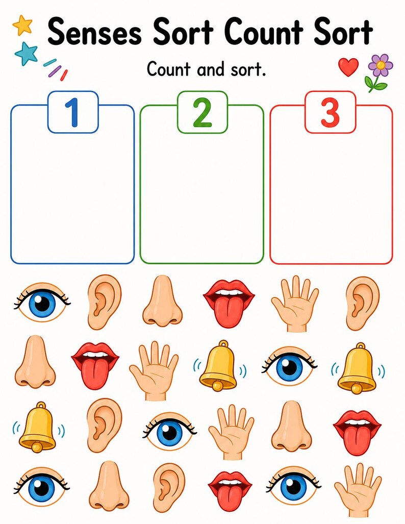 Clasificación de los cinco sentidos / Hojas de trabajo de los cinco sentidos / PDF imprimible / Descarga digital imagen 6