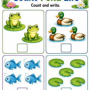 Pond Life Explorer | Pond Life Worksheets | Printable PDF | Digital Download image 5