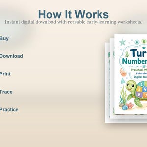 Turtle Number Steps | Preschool Worksheets | Printable PDF | Digital Download image 4