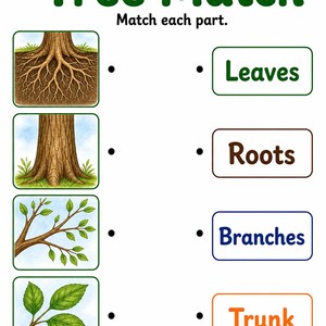 Explorateur de parties d'arbre | Feuille de travail Parties d'un arbre | PDF imprimable | Téléchargement numérique image 4