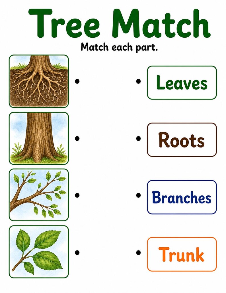 Explorateur de parties d'arbre | Feuille de travail Parties d'un arbre | PDF imprimable | Téléchargement numérique image 4