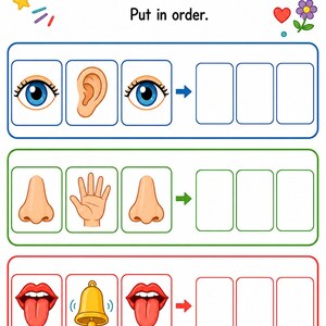 Clasificación de los cinco sentidos / Hojas de trabajo de los cinco sentidos / PDF imprimible / Descarga digital imagen 7